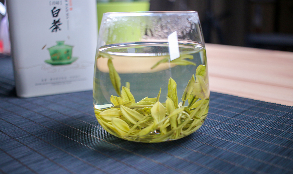 安吉白茶工艺过程